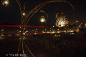 IMGP4293w