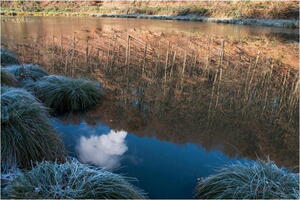 le miroir 2