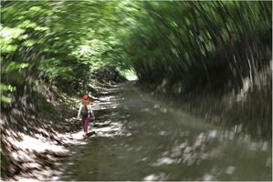 le tunnel