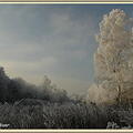 Matin-d-Hiver