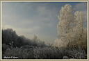 Matin-d-Hiver