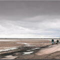 Paysage 5