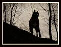 au crepuscule