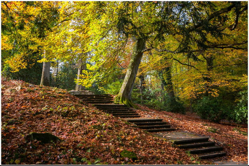 Couleurs d'automne.jpeg